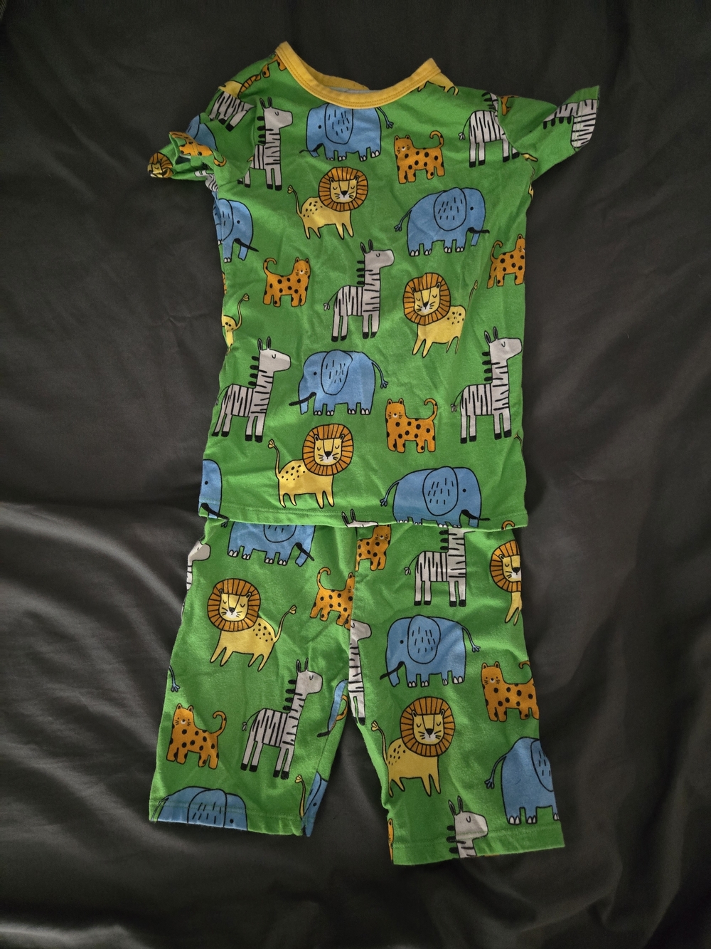 Kids Green Safari Animal One-Piece Pajama Set - Size 5 #0002
